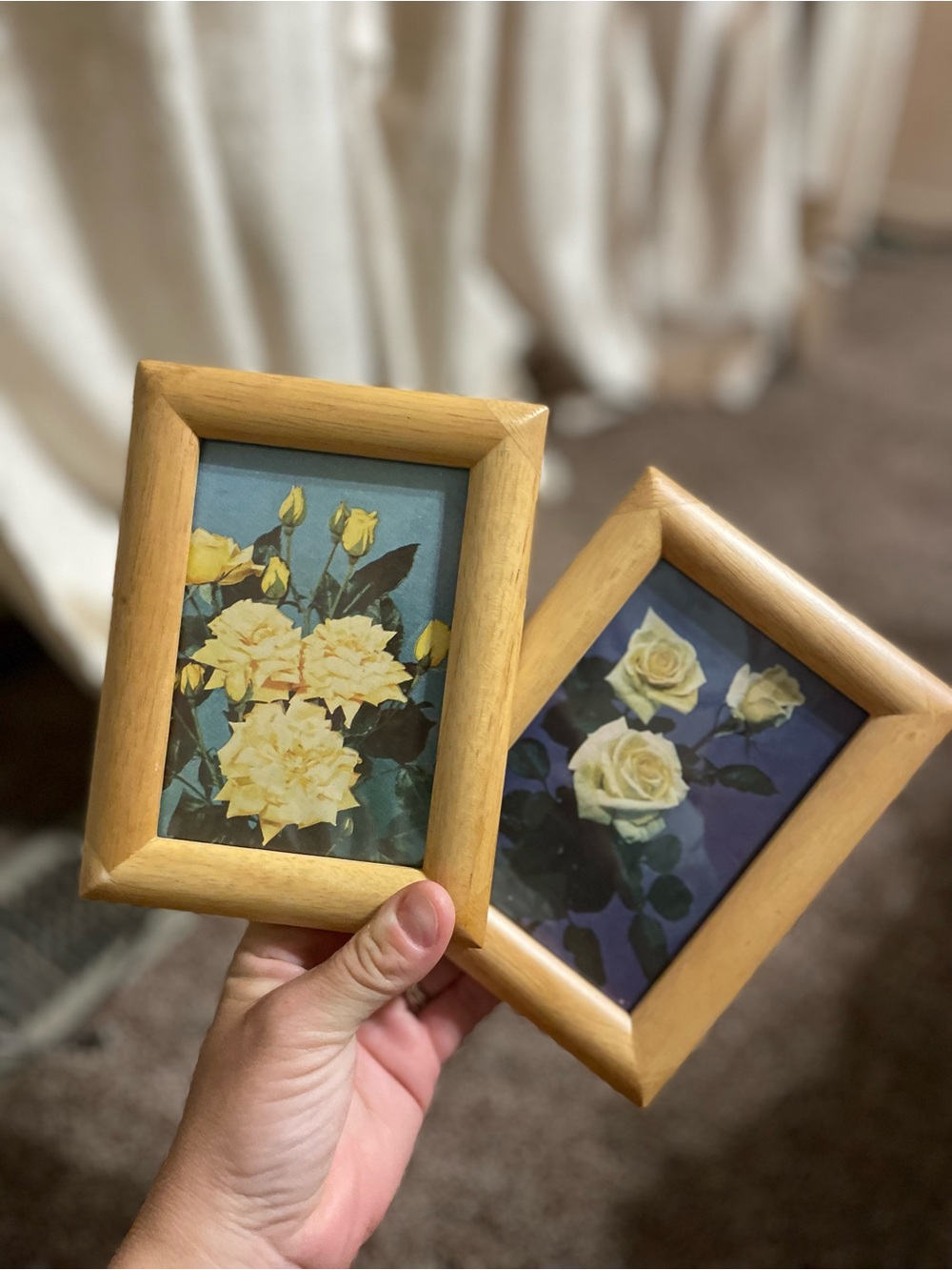 Wood Frame Pair with Yellow Rose 1949 Prints 6x4.5